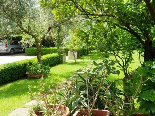 Villa Scimmia Scauri  Zewnętrze zdjęcie